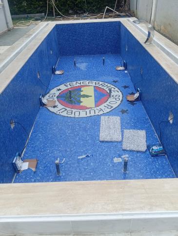 Fenerbahçe havuz mozaik